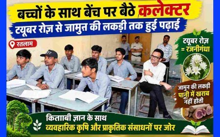बच्चों के बीच बेंच पर बैठे कलेक्टर अजय कटेसरिया, सवाल भी पूछे, जवाब नहीं मिले तो खुद बताए