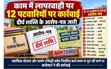 काम में लापरवाही पर 12 पटवारियों पर कलेक्टर ने की कार्रवाई, स्वामित्व योजना और फार्मर रजिस्ट्री सहित अन्य कार्य पूरे नहीं करने पर आरोप-पत्र जारी