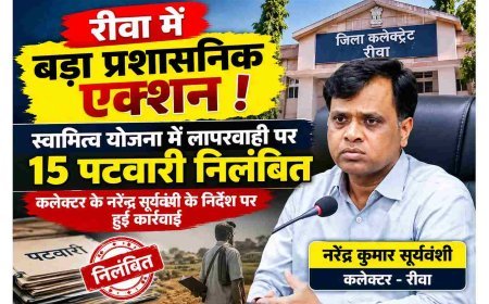 रीवा में बड़ा प्रशासनिक एक्शन ! स्वामित्व योजना में लापरवाही पर 15 पटवारी निलंबित, कलेक्टर के नरेंद्र सूर्यवंशी के निर्देश पर हुई कार्रवाई