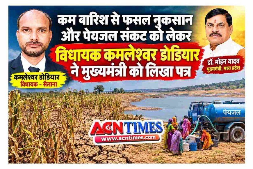 कम बारिश से फसल को नुकसान और पेयजल संकट गहराने का अंदेशा ! विधायक डोडियार ने CM से की रतलाम जिला सूखाग्रस्त व अभावग्रस्त घोषित करने की मांग